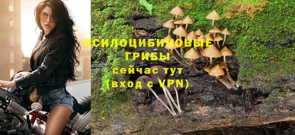 spice Переславль-Залесский