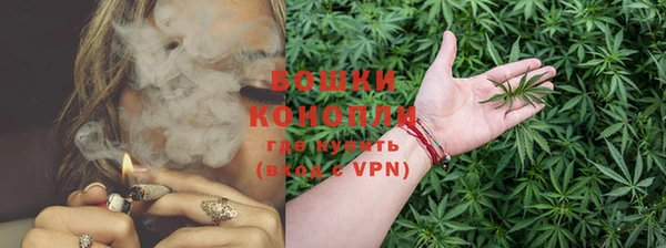 бошки Пестово