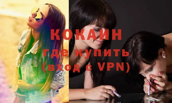 ГАЛЛЮЦИНОГЕННЫЕ ГРИБЫ Пересвет